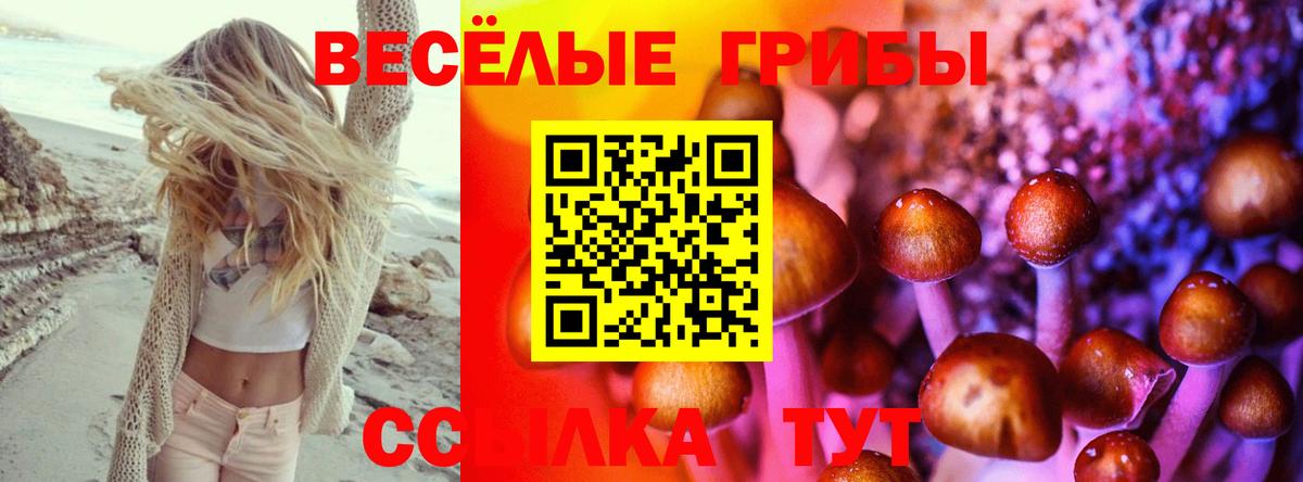 Нижнекамск  Галлюциногенные грибы прущие грибы  Вход с VPN 