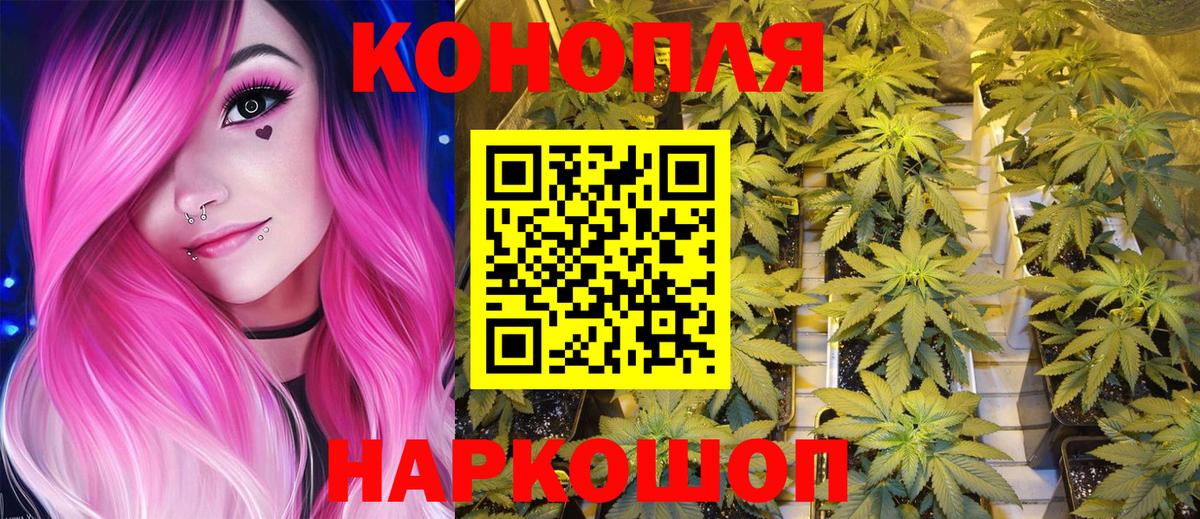 Канабис план  Бошки марихуана SATIVA & INDICA  Нижнекамск  Вход с VPN  Бошки марихуана план 
